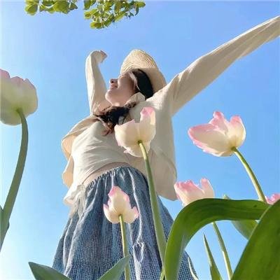 荣誉至上海报